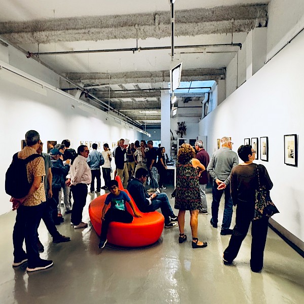 Galeria Valid Foto BCN, June 2024