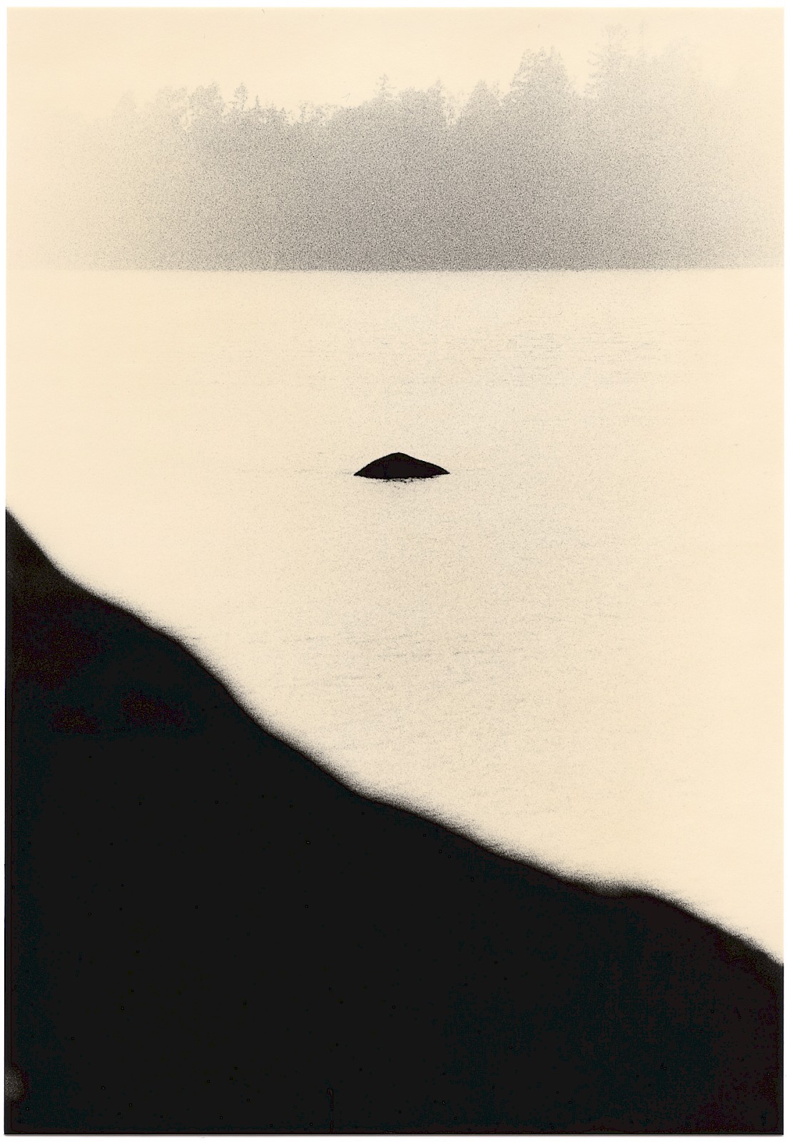 Untitled (rock),  by Mikael Siirilä