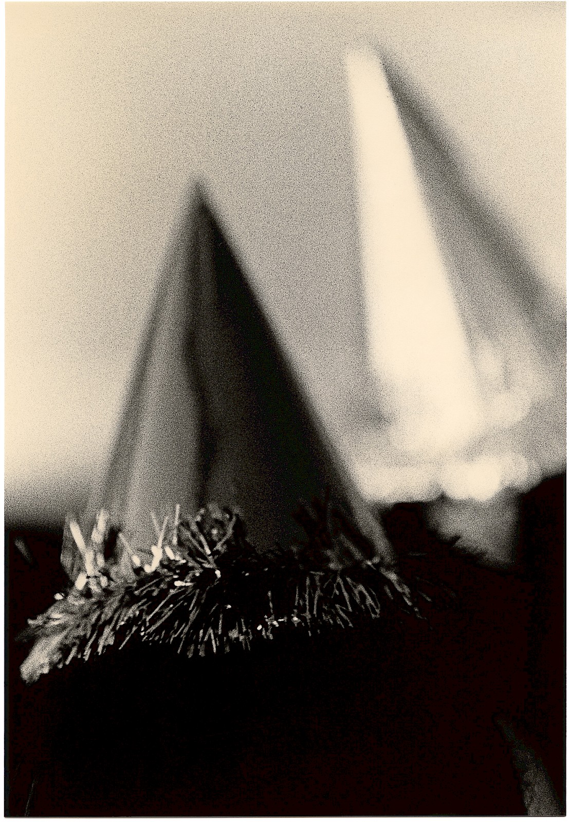 Untitled (two partyhats),  by Mikael Siirilä